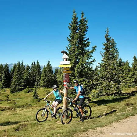 Alpin-2 By Interhome 度假居